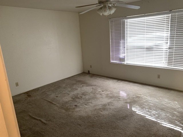unfurnished room featuring carpet and a ceiling fan