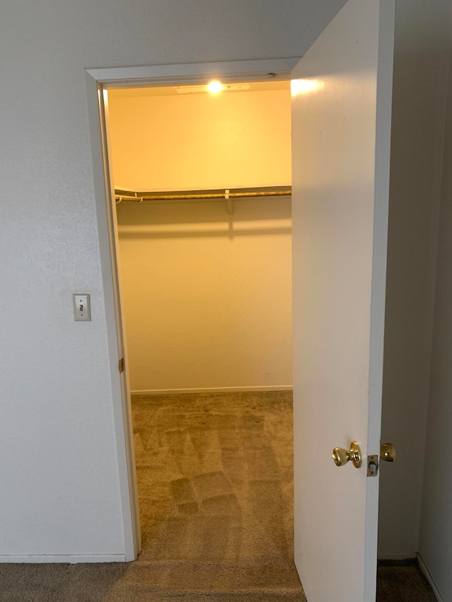 spacious closet with carpet