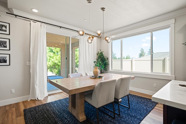 dining area featuring plenty of natural light and hardwood / wood-style floors