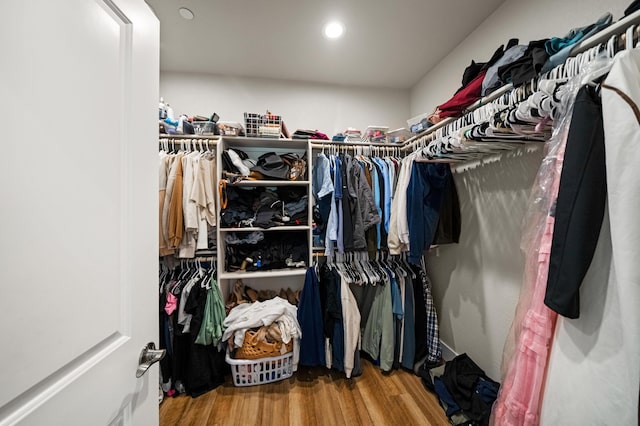 spacious closet featuring wood-type flooring