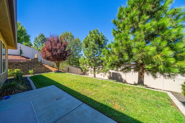 view of yard with a patio area