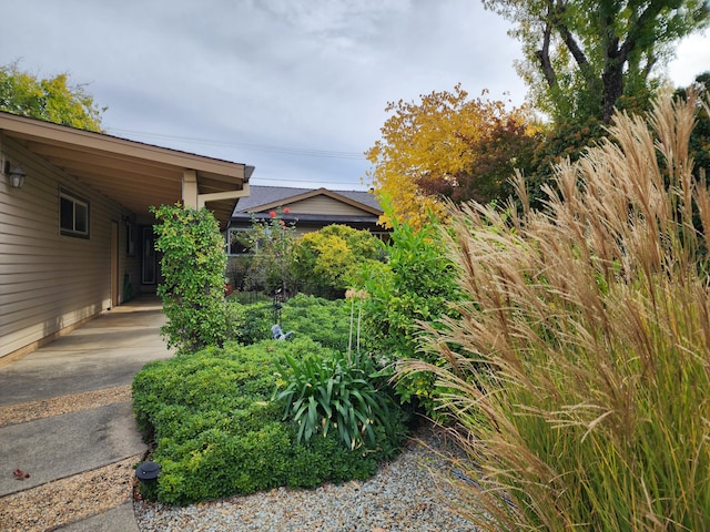 view of yard with a carport