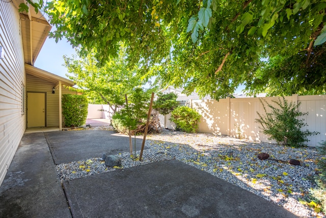 view of yard featuring a patio