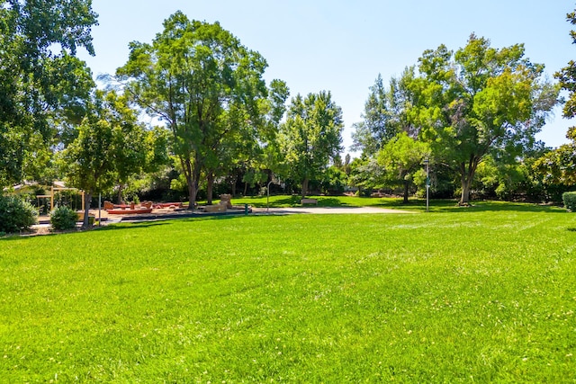 view of property's community with a yard