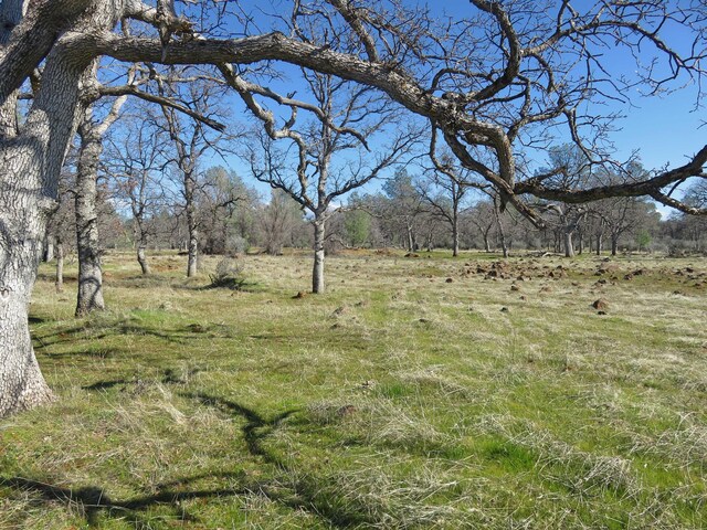 Listing photo 2 for 41ACRES Ash Creek Rd, Anderson CA 96007