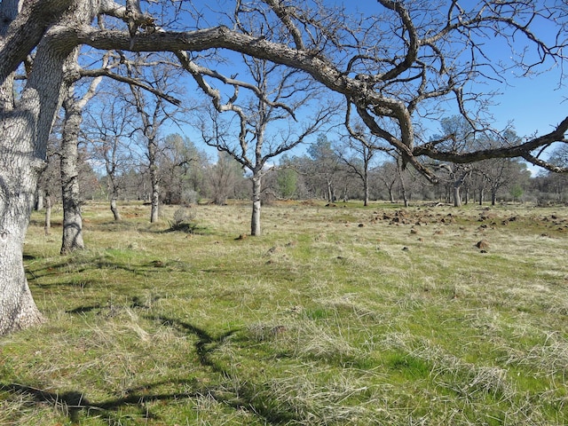 Listing photo 2 for 41ACRES Ash Creek Rd, Anderson CA 96007