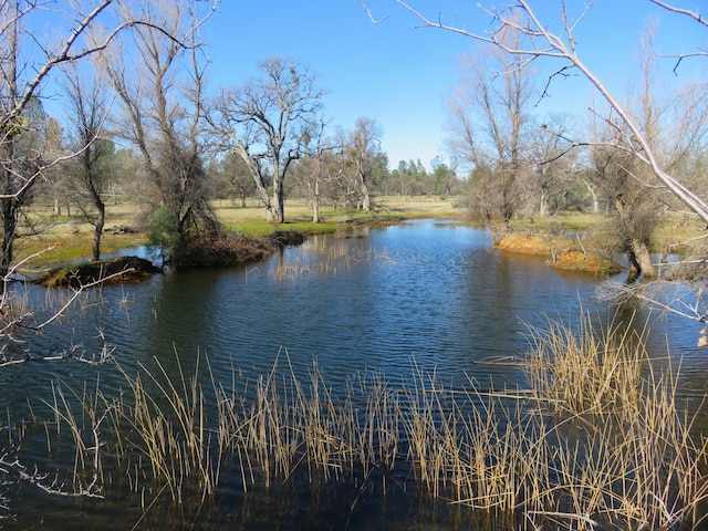 41ACRES Ash Creek Rd, Anderson CA, 96007 land for sale