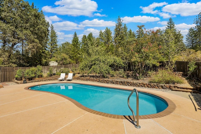 view of pool with a patio area