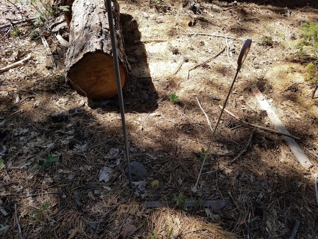 LOT1 Eckert Ln, Shingletown, CA 96088