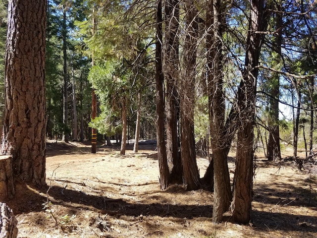 Listing photo 2 for LOT1 Eckert Ln, Shingletown CA 96088