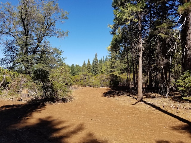 LOT1 Eckert Ln, Shingletown, CA 96088