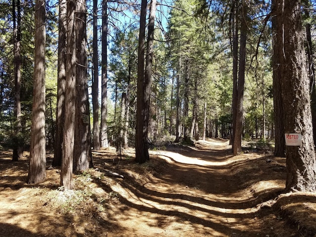 LOT1 Eckert Ln, Shingletown, CA 96088