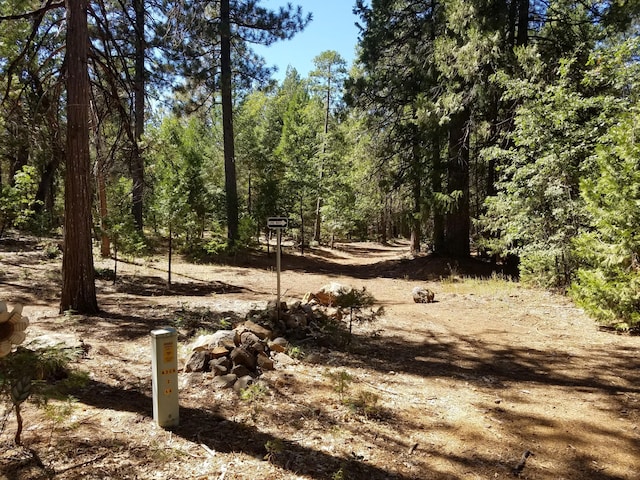 LOT1 Eckert Ln, Shingletown, CA 96088