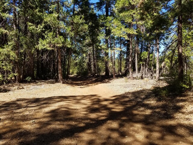 LOT1 Eckert Ln, Shingletown, CA 96088