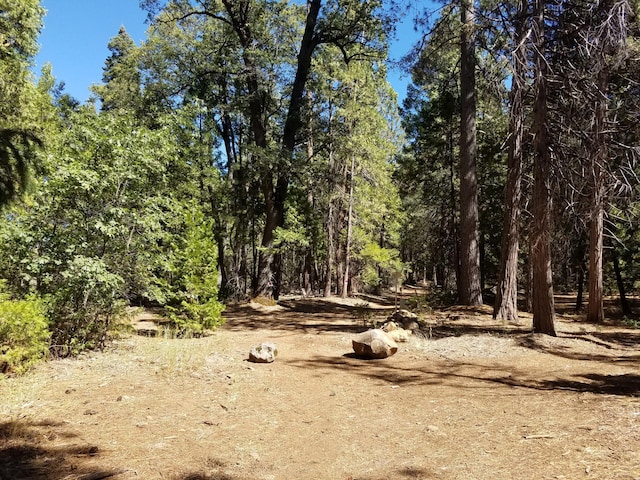 LOT1 Eckert Ln, Shingletown, CA 96088