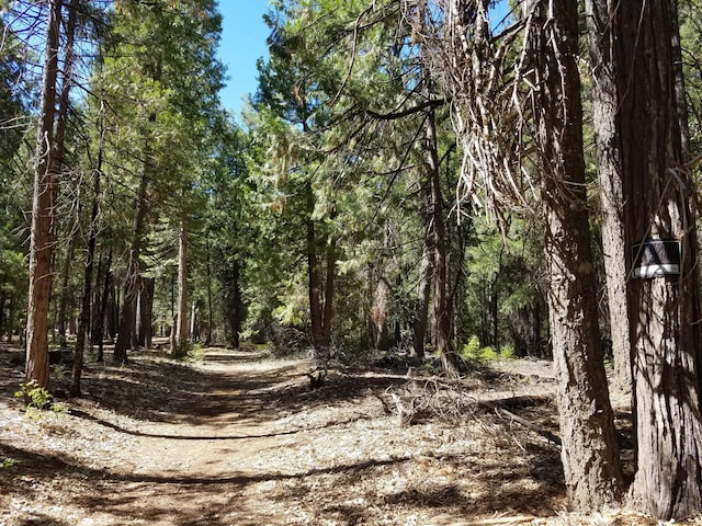 LOT1 Eckert Ln, Shingletown, CA 96088