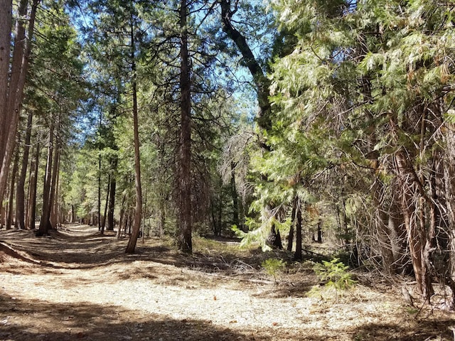 LOT1 Eckert Ln, Shingletown, CA 96088