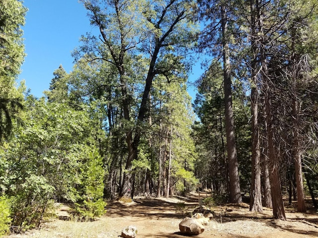 LOT1 Eckert Ln, Shingletown, CA 96088
