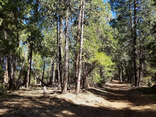 LOT1 Eckert Ln, Shingletown, CA 96088