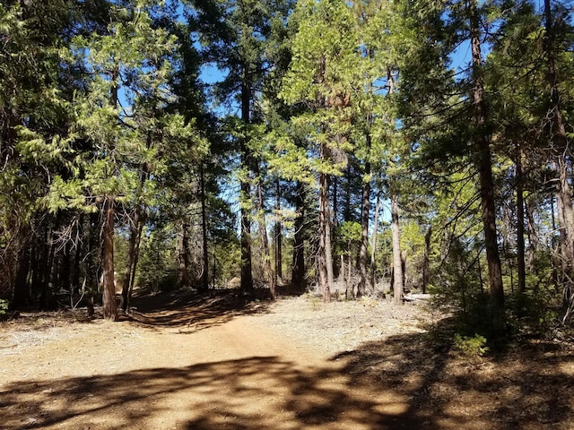 LOT1 Eckert Ln, Shingletown, CA 96088