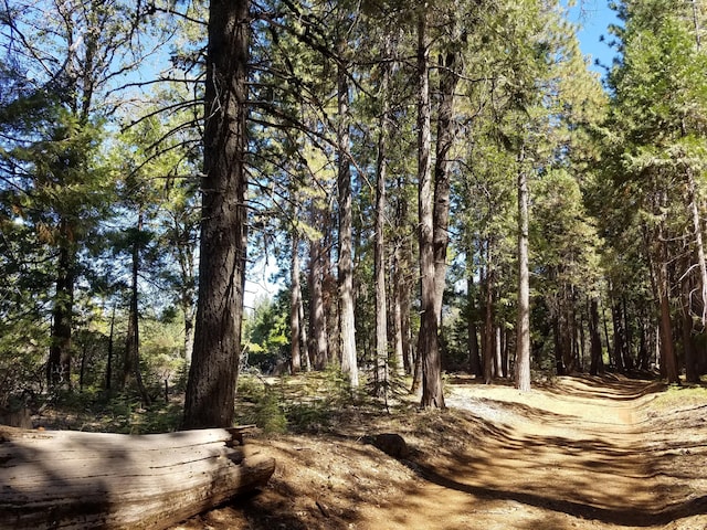 LOT1 Eckert Ln, Shingletown, CA 96088
