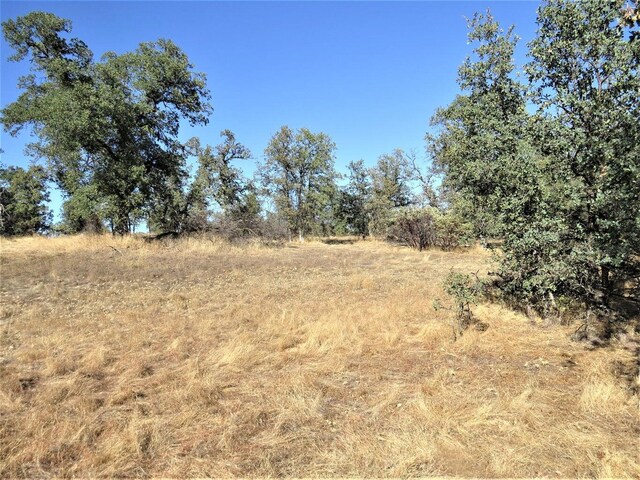 Listing photo 3 for Los Osos St, Redding CA 96003