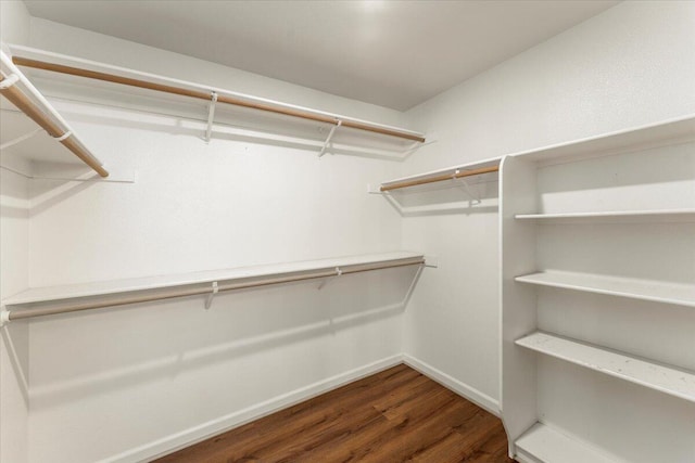 walk in closet with dark wood-type flooring