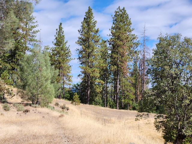 view of landscape