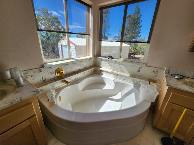 bathroom with a bathtub, a wealth of natural light, and vanity