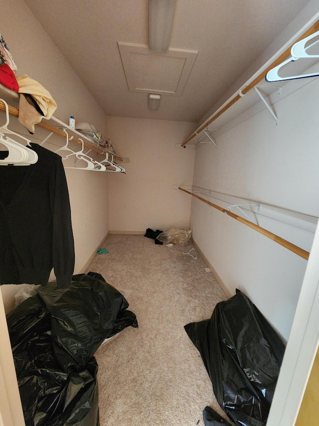 walk in closet with carpet flooring