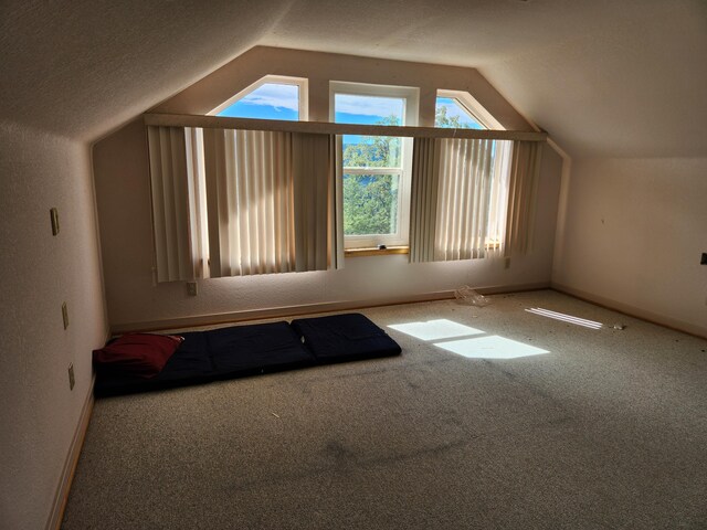 bonus room with lofted ceiling, a textured ceiling, and carpet floors