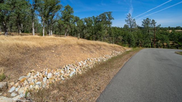 Tudor Oaks Ave, Palo Cedro, CA 96073