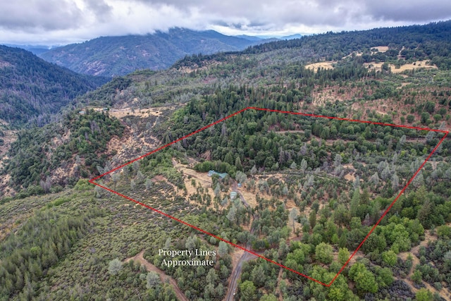 29801 Montgomery Creek Falls Rd, Montgomery Creek, CA 96065 - photo 3
