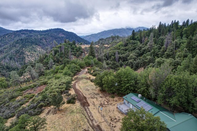 29801 Montgomery Creek Falls Rd, Montgomery Creek, CA 96065 - photo 26