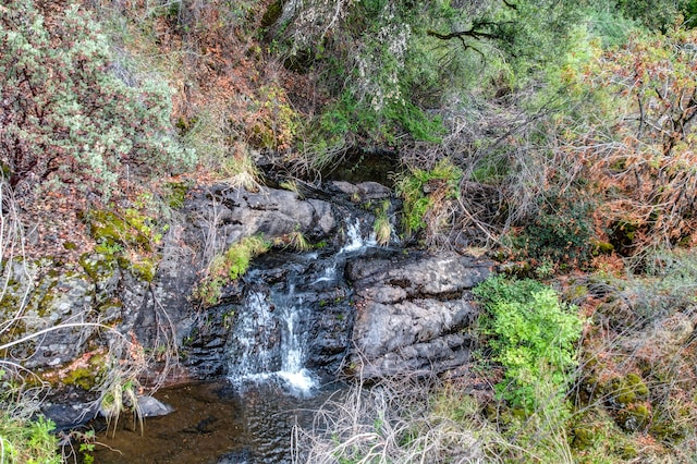 view of nature