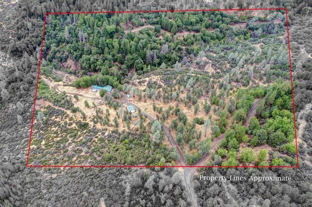 29801 Montgomery Creek Falls Rd, Montgomery Creek, CA 96065 - photo 37