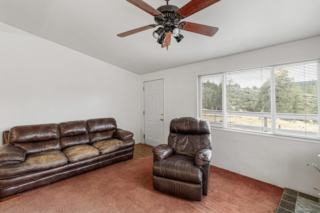 29801 Montgomery Creek Falls Rd, Montgomery Creek, CA 96065 - photo 10