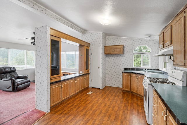 kitchen with ceiling fan, a textured ceiling, white gas range oven, dark hardwood / wood-style floors, and vaulted ceiling