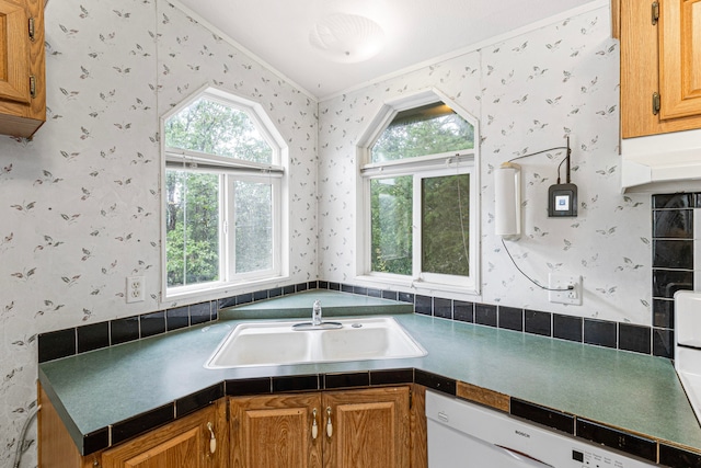 kitchen with dishwasher, crown molding, and sink