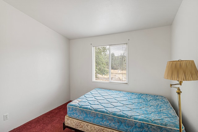 bedroom featuring carpet