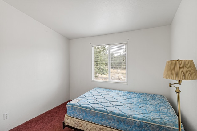 29801 Montgomery Creek Falls Rd, Montgomery Creek, CA 96065 - photo 16