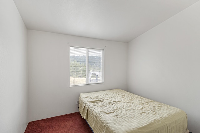 29801 Montgomery Creek Falls Rd, Montgomery Creek, CA 96065 - photo 17