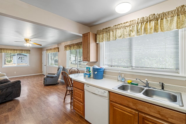 kitchen with wood-type flooring, white dishwasher, sink, and ceiling fan