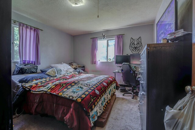 carpeted bedroom with a textured ceiling