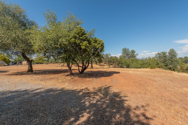 view of yard featuring a rural view