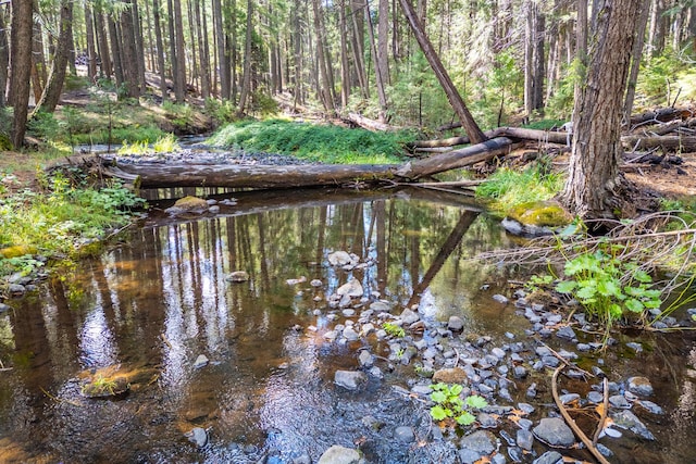 view of local wilderness featuring a wooded view