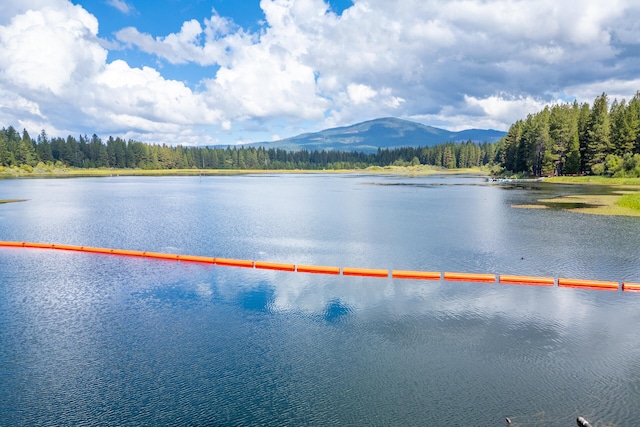 property view of water with a mountain view