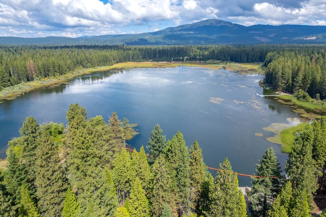 aerial view with a water and mountain view