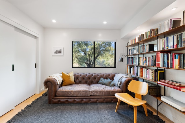 living area featuring recessed lighting