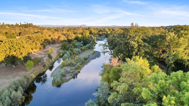 drone / aerial view with a forest view and a water view